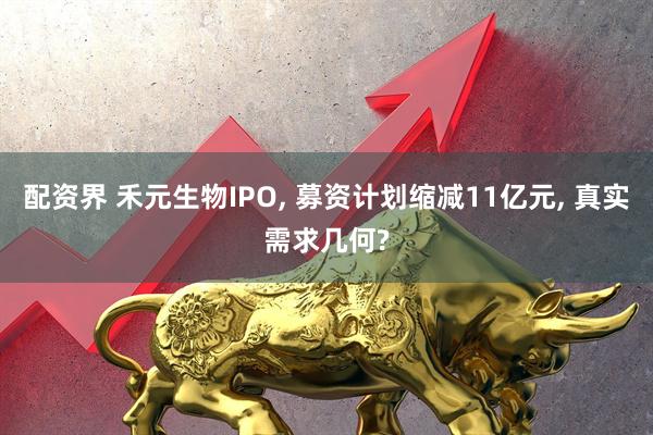 配资界 禾元生物IPO, 募资计划缩减11亿元, 真实需求几何?