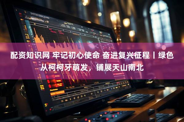 配资知识网 牢记初心使命 奋进复兴征程丨绿色从柯柯牙萌发，铺展天山南北
